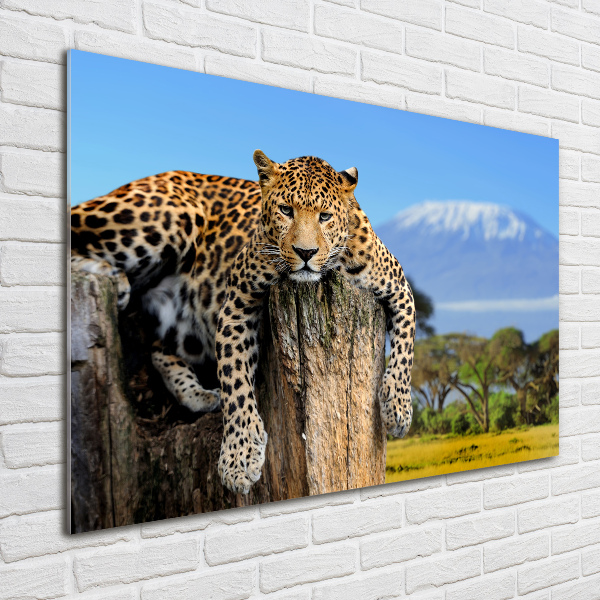 Pintura en acrílico horizontal Leopardo en un tocón de árbol
