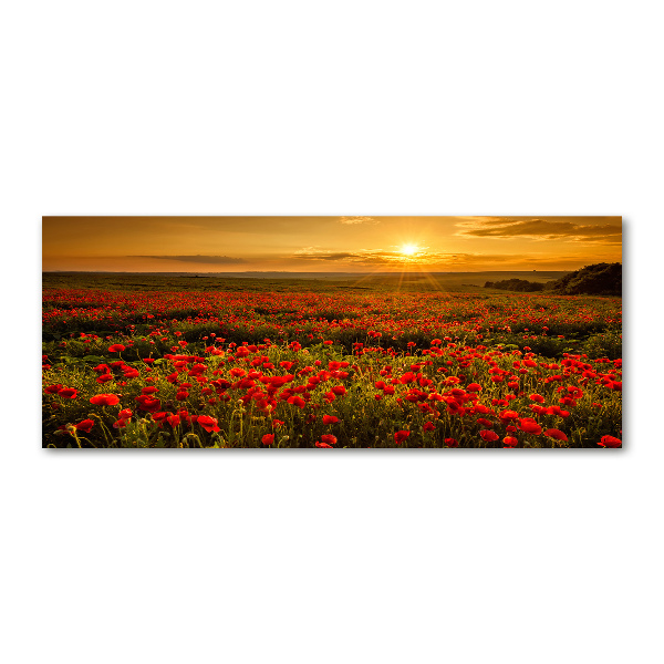 Cuadro acrílico horizontal Campo de amapolas