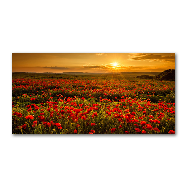 Cuadro acrílico horizontal Campo de amapolas