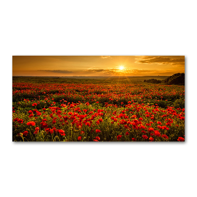 Cuadro acrílico horizontal Campo de amapolas