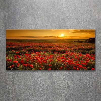 Cuadro acrílico horizontal Campo de amapolas