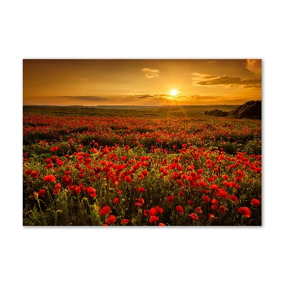 Cuadro acrílico horizontal Campo de amapolas