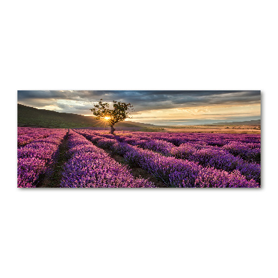Pintura en acrílico horizontal campo de lavanda