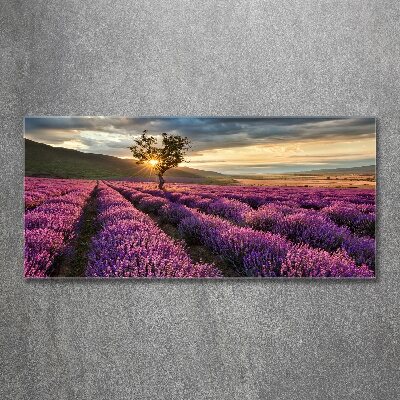 Pintura en acrílico horizontal campo de lavanda