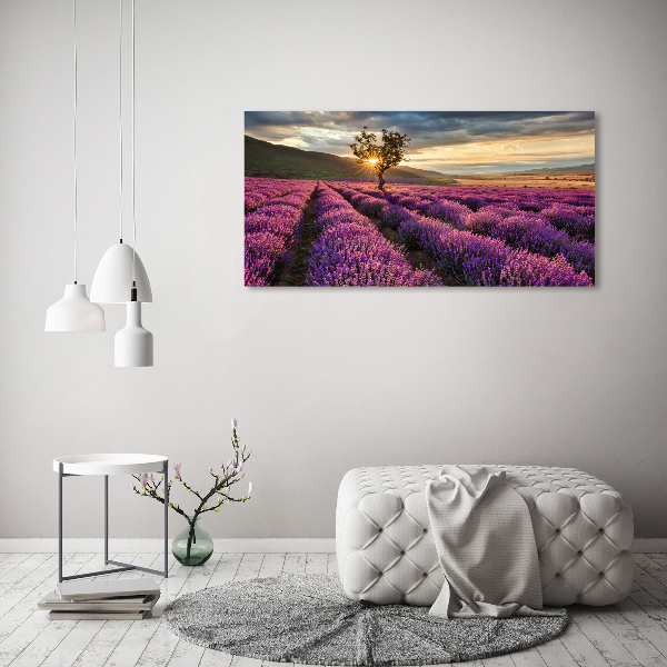Pintura en acrílico horizontal campo de lavanda