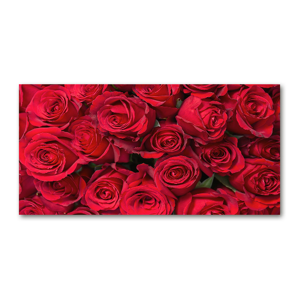 Cuadro metacrilato horizontal rosas rojas