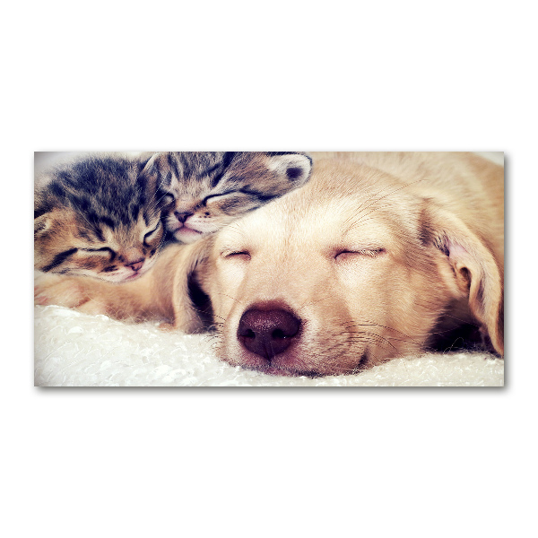 Cuadro acrílico horizontal Cachorros y gatos