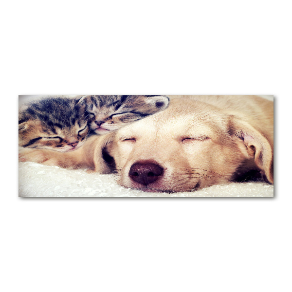 Cuadro acrílico horizontal Cachorros y gatos