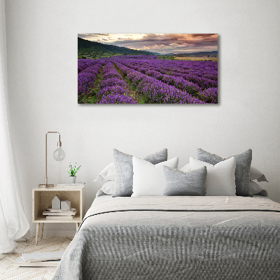 Cuadro metacrilato horizontal campo de lavanda