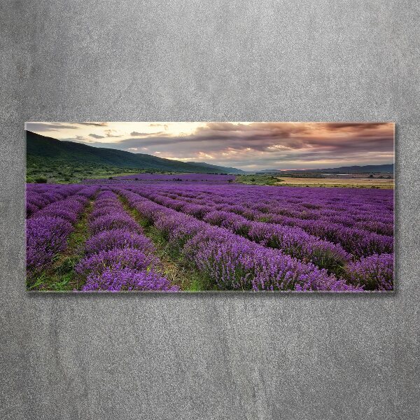 Cuadro metacrilato horizontal campo de lavanda