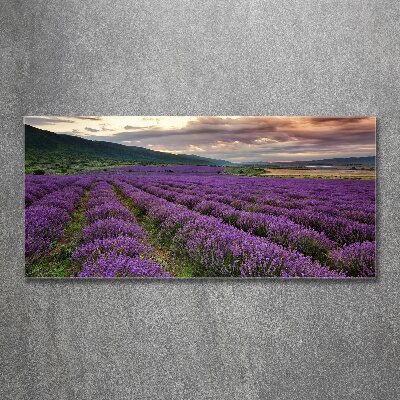Cuadro metacrilato horizontal campo de lavanda