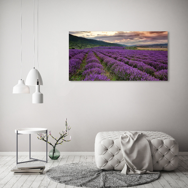 Cuadro metacrilato horizontal campo de lavanda