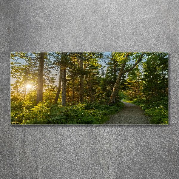 Pintura en acrílico horizontal Bosque