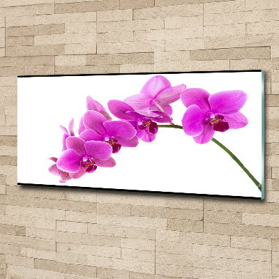 Cuadro metacrilato horizontal Orquídea rosa