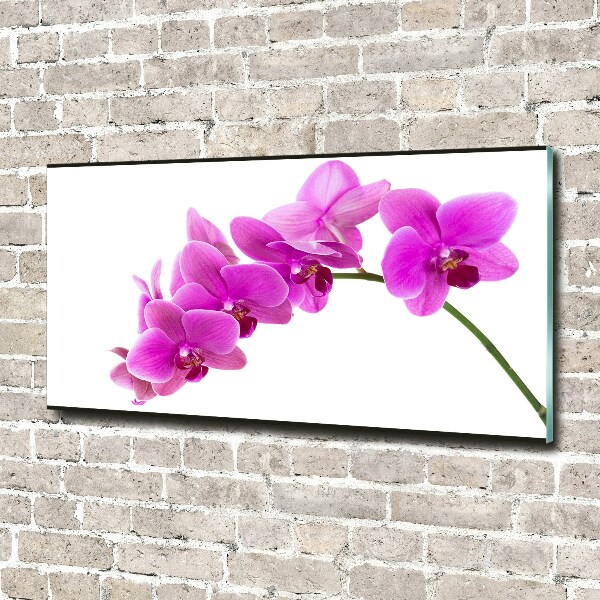 Cuadro metacrilato horizontal Orquídea rosa