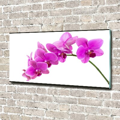 Cuadro metacrilato horizontal Orquídea rosa
