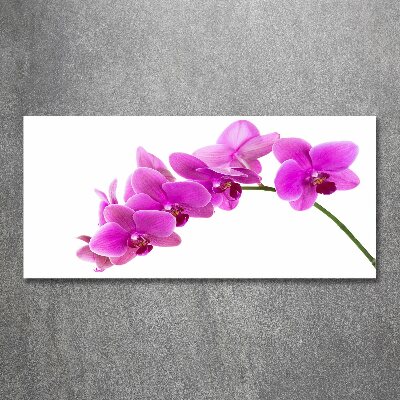 Cuadro metacrilato horizontal Orquídea rosa