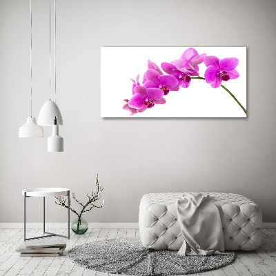 Cuadro metacrilato horizontal Orquídea rosa
