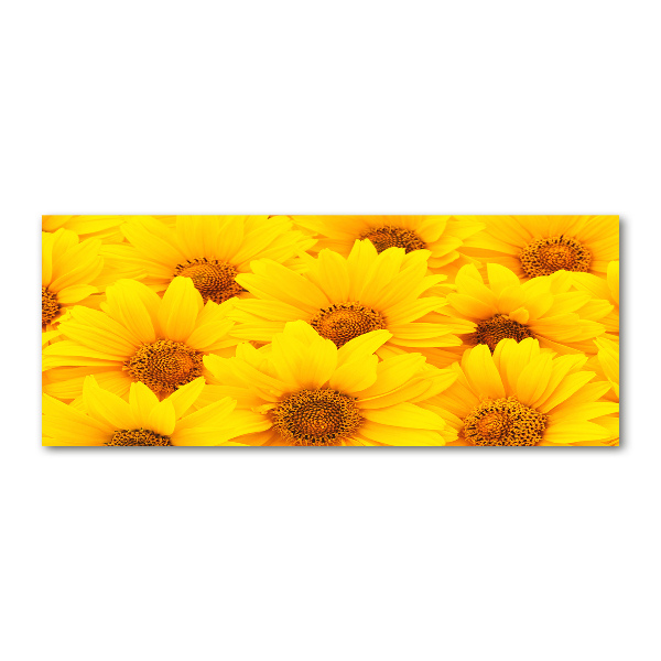 Cuadro acrílico horizontal Girasoles