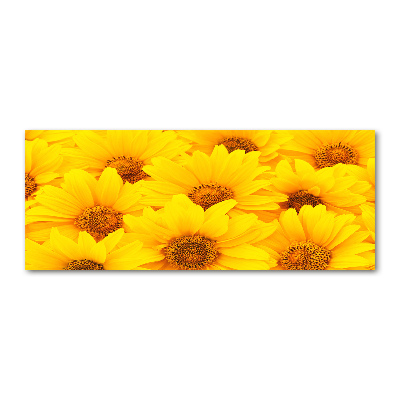 Cuadro acrílico horizontal Girasoles