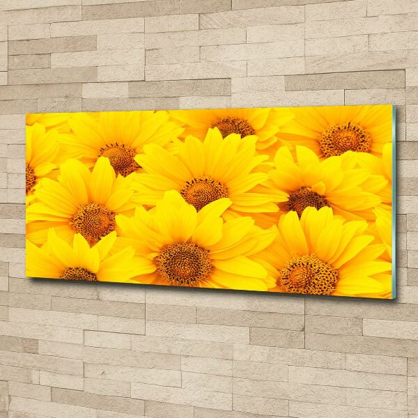 Cuadro acrílico horizontal Girasoles