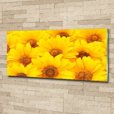 Cuadro acrílico horizontal Girasoles
