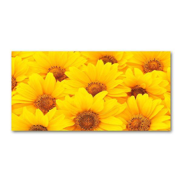 Cuadro acrílico horizontal Girasoles