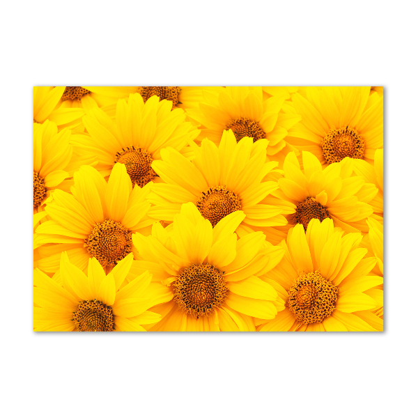 Cuadro acrílico horizontal Girasoles