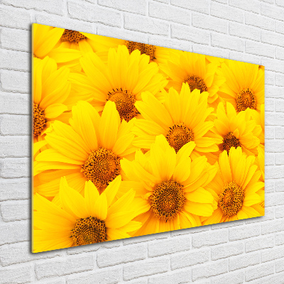Cuadro acrílico horizontal Girasoles