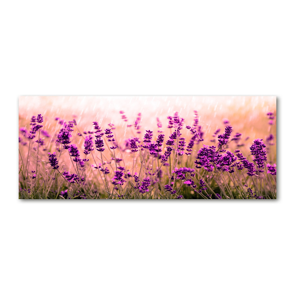 Pintura en acrílico horizontal Lavanda