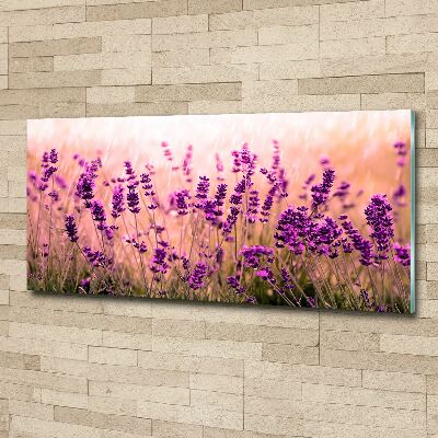 Pintura en acrílico horizontal Lavanda