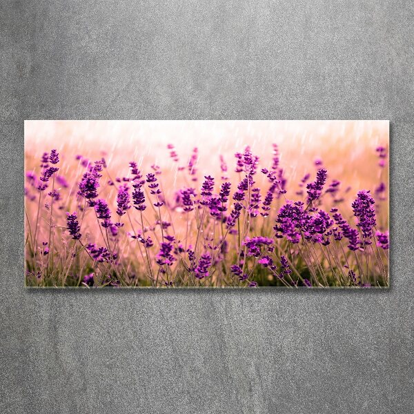 Pintura en acrílico horizontal Lavanda
