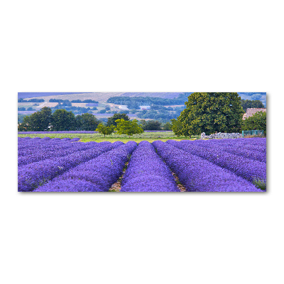 Cuadro metacrilato horizontal campo de lavanda