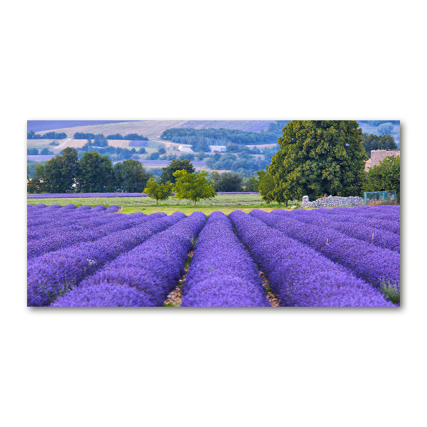Cuadro metacrilato horizontal campo de lavanda