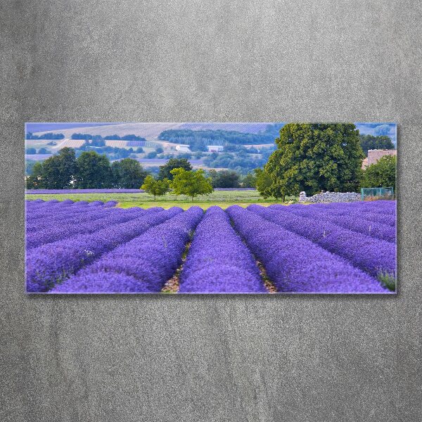 Cuadro metacrilato horizontal campo de lavanda