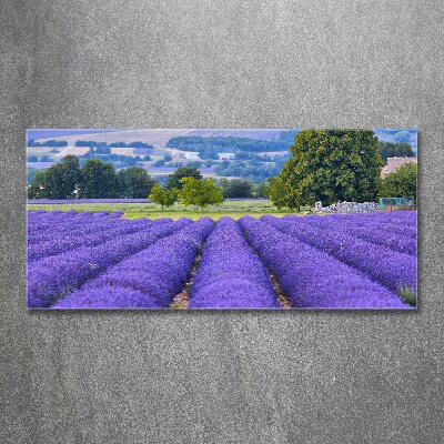 Cuadro metacrilato horizontal campo de lavanda