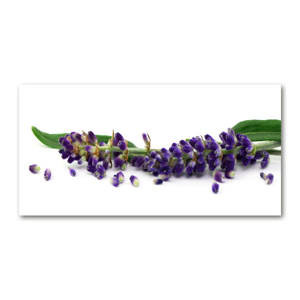 Cuadro metacrilato horizontal Lavanda