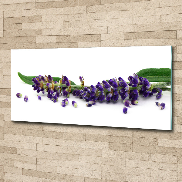 Cuadro metacrilato horizontal Lavanda