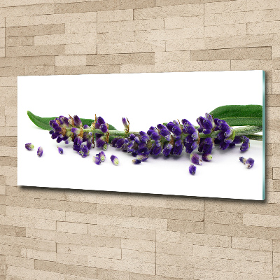 Cuadro metacrilato horizontal Lavanda