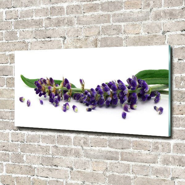 Cuadro metacrilato horizontal Lavanda