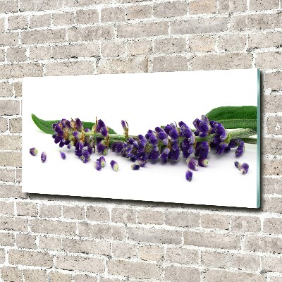 Cuadro metacrilato horizontal Lavanda