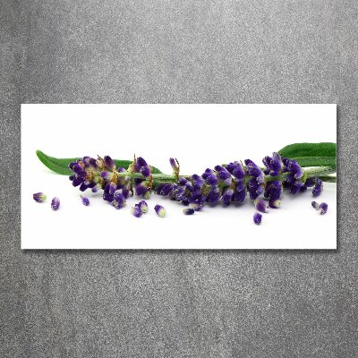Cuadro metacrilato horizontal Lavanda