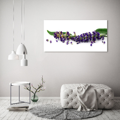 Cuadro metacrilato horizontal Lavanda