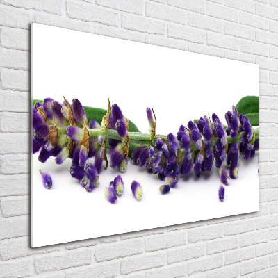 Cuadro metacrilato horizontal Lavanda