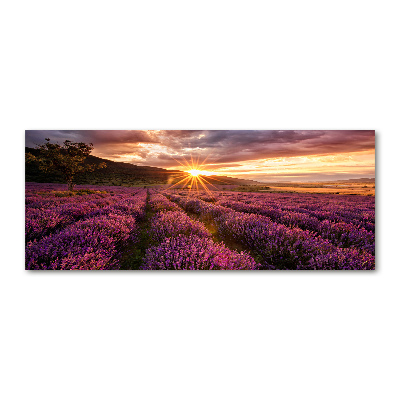 Cuadro acrílico horizontal campo de lavanda