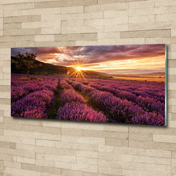 Cuadro acrílico horizontal campo de lavanda