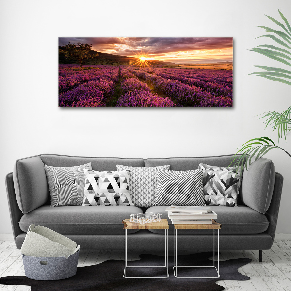 Cuadro acrílico horizontal campo de lavanda