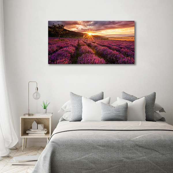 Cuadro acrílico horizontal campo de lavanda