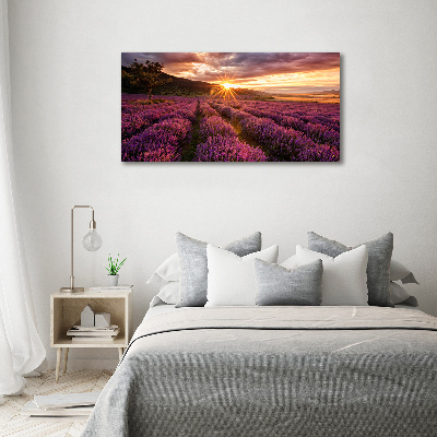 Cuadro acrílico horizontal campo de lavanda