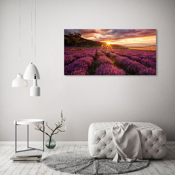 Cuadro acrílico horizontal campo de lavanda